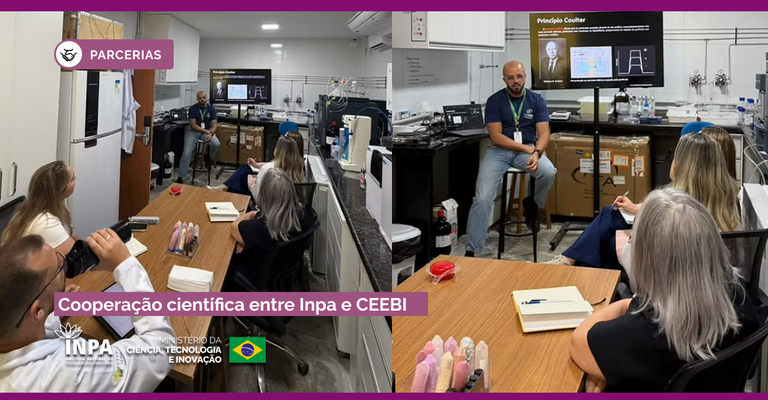 Inpa e CEEBI _ BANNER.png