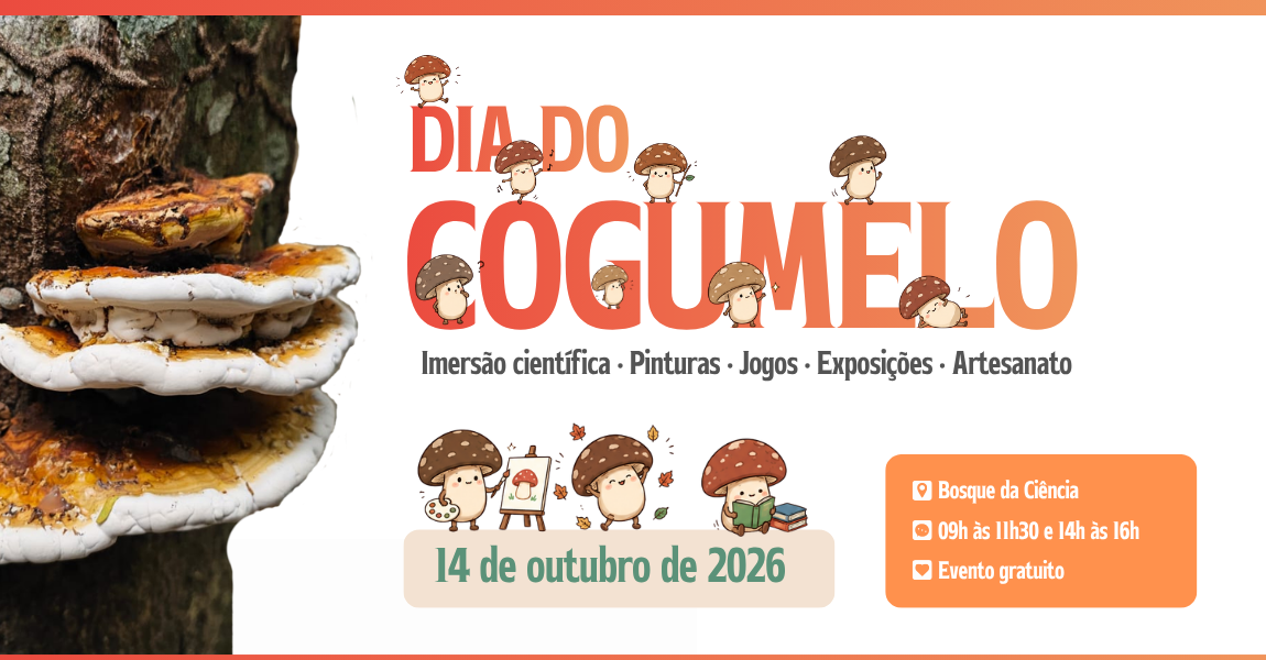 Inpa promove ‘Dia do Cogumelo’ com atividades científicas para crianças e jovens no Bosque da Ciência