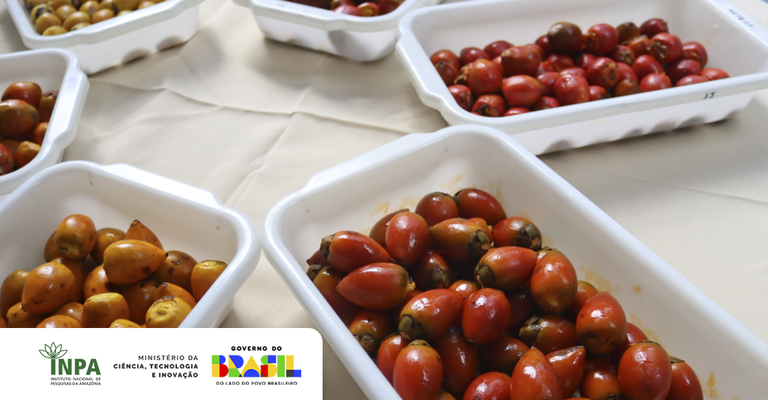 BANNER_SITE_PORTAL_INPA (1).png