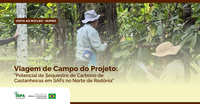 Nupro e a pesquisa em ação: castanheiras, carbono e sistemas agroflorestais