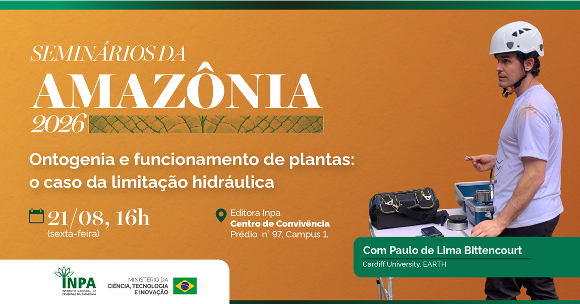 Seminário no Inpa discute, nesta sexta, como árvores altas lidam com a seca na Amazônia