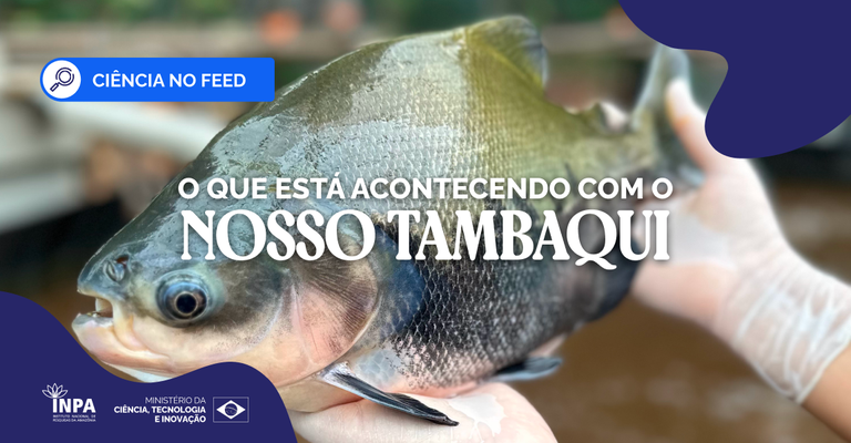 BANNER TAMBAQUI.png