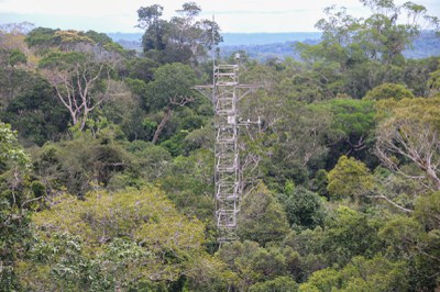 AmazonFACE_Visita ministra MCTI_Chanceler britânico_Foto Victor Mamede_Ascom INPA (2).jfif