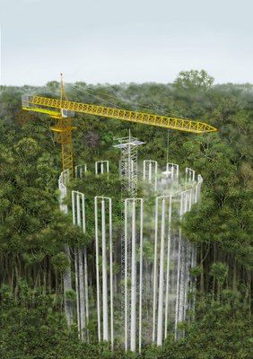 Plot _Anel AmazonFACE-Acervo do programa.jfif