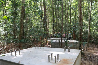 AmazonFACE_Pré-inaguração Sítio Experimental_ZF02_Foto Cimone Barros_ASCOM INPA  (117).JPG