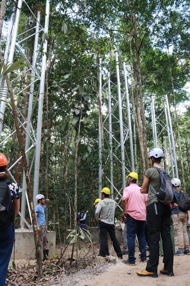 AmazonFACE_Pré-inaguração Sítio Experimental_ZF02_Foto Cimone Barros_ASCOM INPA  (99).JPG