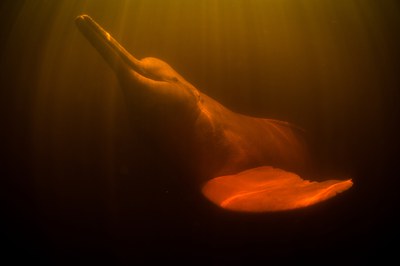 JONE RORIZ BOTO AGUAE69W4938.jpg