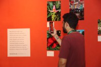 Após três anos, Inpa reabre espaço cultural com exposição “Territórios da Agricultura”