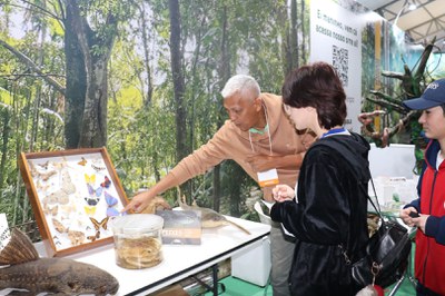 SBPC_borboletas_peixes_Foto Cimone Barros_INPA.JPG