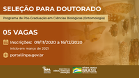 Curso de Doutorado em Entomologia do INPA oferece cinco vagas em processo seletivo