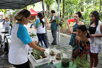 DiaDaArvore (4).jpeg