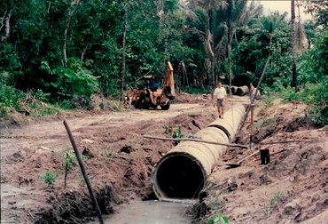 DiaDaArvore (5).jpeg