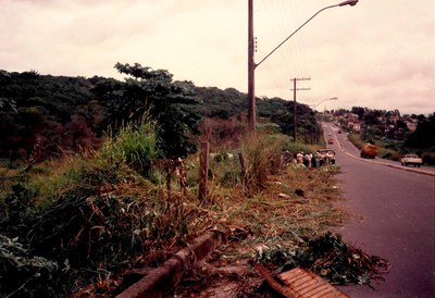 DiaDaArvore (9).jpeg