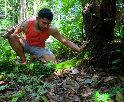 Patrik Viana coletando serpente no campo - Credito Patrik Viana - INPA (3).jpg