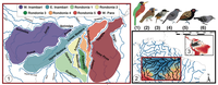 Estudo publicado na Science Advances em colaboração com o Inpa mostra que pequenos rios amazônicos influenciam especiação de aves de florestas de terra firme