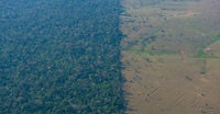 Estudo revela que florestas da Amazônia podem abrigar mais de 10.000 registros de antigas comunidades indígenas