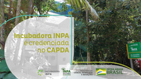 Incubadora do INPA é credenciada para obter recursos de P&D de Comitê da Suframa