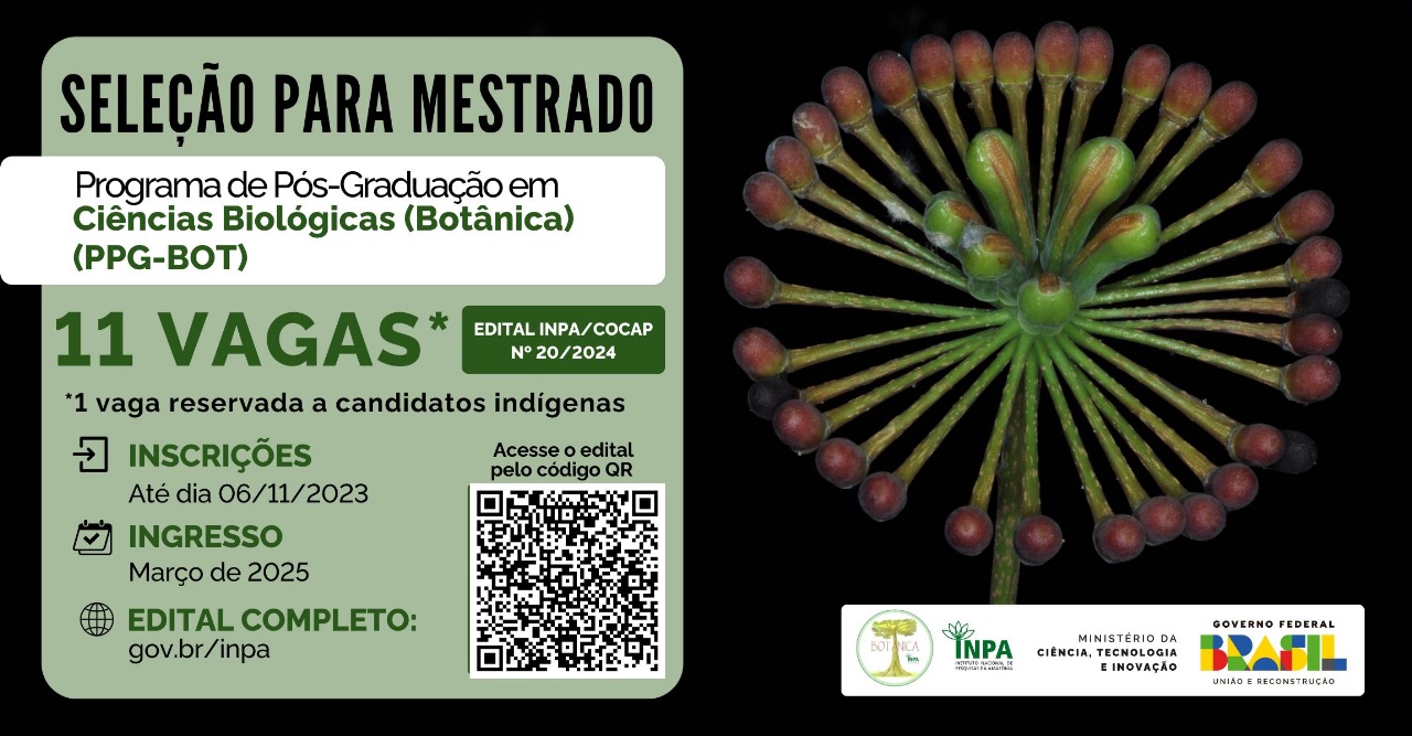 Inpa abre seleção para 11 vagas no mestrado em Botânica