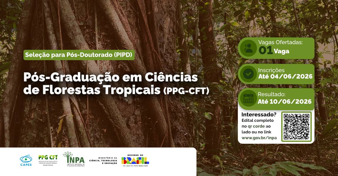 Inpa abre seleção para bolsa de pós-doutorado em Ciências de Florestas Tropicais