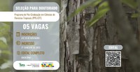 Inpa abre seleção para doutorado em Ciências de Florestas Tropicais