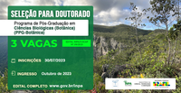Inpa abre seleção para três vagas de doutorado no Programa de Pós-Graduação em Ciências Biológicas (PPG-Botânica)