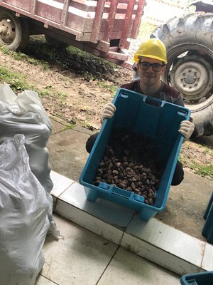 Plantios florestais - experimento de mestrado Elmer Gonçalves - Acervo pesquisador José Francisco Gonçalves-INPA  (1).jpeg