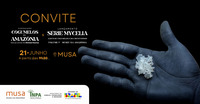 Inpa e Musa inauguram exposição e lançam livro sobre cogumelos da Amazônia