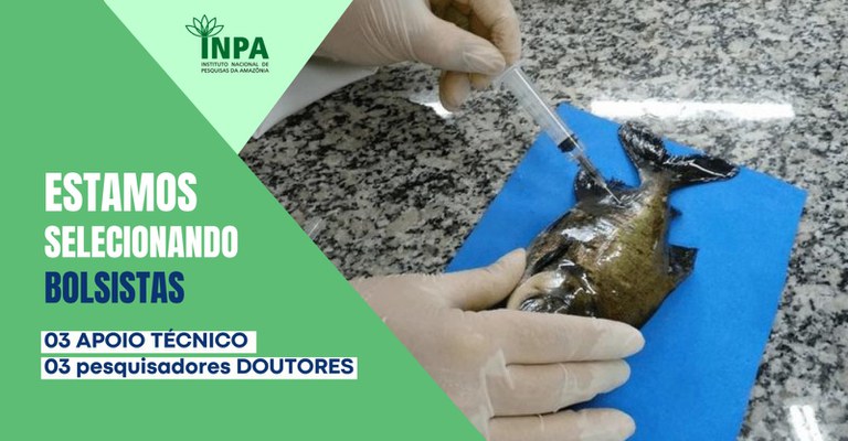 As vagas são para atuação no Laboratório de Pesquisas em Aquicultura no Inpa