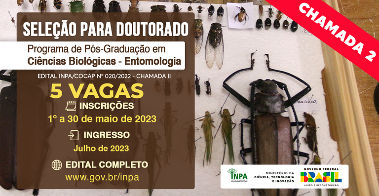 Banner_Selecao-doutorado-entomologia_ASCOM INPA_Debora Vale.png