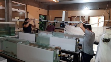 Laboratorio INPA - Projeto Ictiofauna - Foto Acervo Ézio Sargentini - INPA.jpg