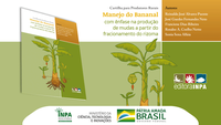 Inpa publica cartilha educativa sobre manejo e produção de mudas para o bananal