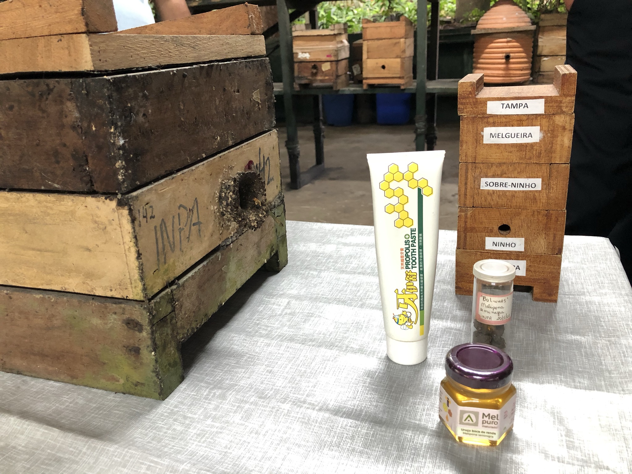 Visita_Darcton_Damião_-_Sub_SUV_-_meliponario_-abelhas_-_Foto_Cimone_Barros_-_INPA_27.jfif