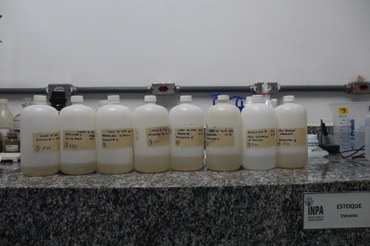 Amostra Análise de água de tefé Fotos Camila Barbosa (215) - Copia.JPG