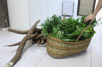 Hortaliças e vegetais_Foto Cimone Barros_INPA (1).JPG