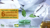 Inpa recebe a concessão de seis patentes de tecnologias desenvolvidas pelo Instituto
