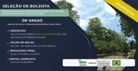 Inscrições para seis bolsas do Programa de Capacitação Institucional do Inpa encerram nesta terça-feira