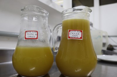 Capacitação Abacaxi_Fotos Victor Mamede (52).JPG