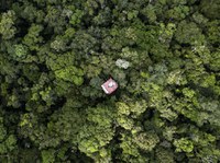 LABVERDE finaliza programa de residência ‘Ecologias Especulativas’ com mergulho artístico na Amazônia