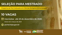 Mestrado em Entomologia do Inpa oferece dez vagas em processo seletivo