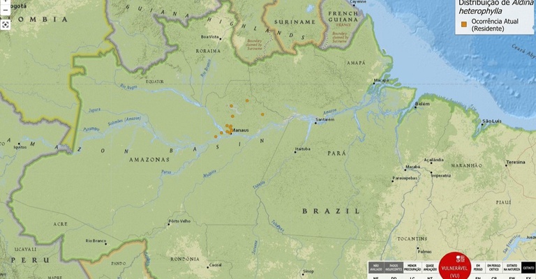 Foto_mapa distribuição Aldina. Fonte IUCN.Adaptado.jpeg