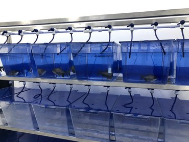 LEEM - ADAPTA - ASCOM INPA.JPEG