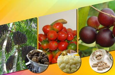 Mosaico - cereais de açai e de pupunha e cápsulas de camu-camu liofilizado (desidratado)- Editora Inpa.png