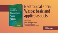 Pós-doutorando do Inpa participa de edição de livro internacional sobre vespas sociais