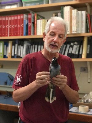 Mario Cohn-Haft 1- Foto Shirley Cavalcante - INPA.jpg