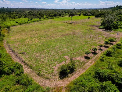 área degrada usada para experimento_Projeto INPA_Shell_Foto Acervo Shell.jpg