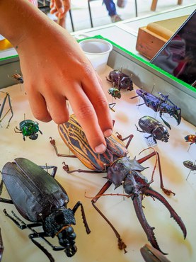 SNCT Ribeirinha - RDS Uatumã_Acervo Equipe INPA (20).jpeg