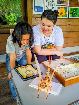 SNCT Ribeirinha - RDS Uatumã_Acervo Equipe INPA (4).jpeg