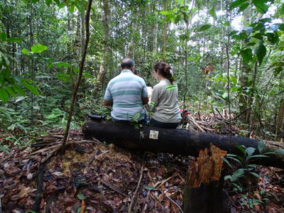 Muiragibóia_preta_196 morta Lorivaldo Reis e Izabela Aleixo - Acervo Izabela (dout Ecologia ) Aleixo.JPG