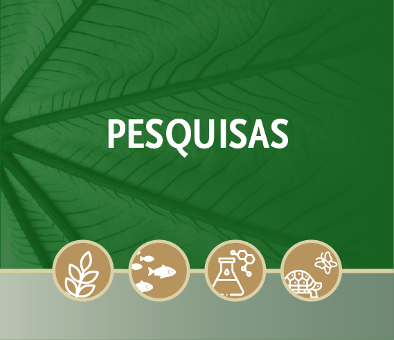 PESQUISA