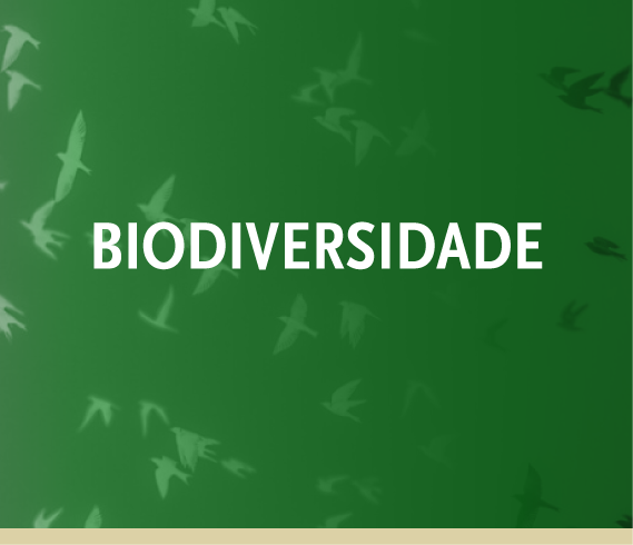 capa pesquisa-02.png